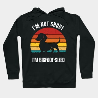 Bigfoot-Sized Confidence Hoodie